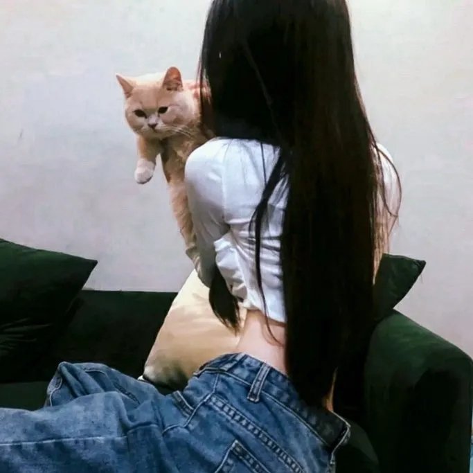 没有窗户的房子
