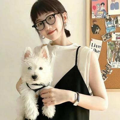 国王与捣乱剧团