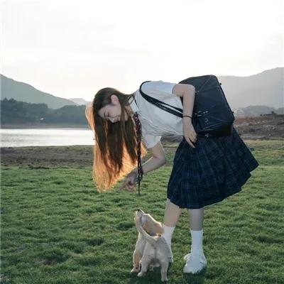 肥猪