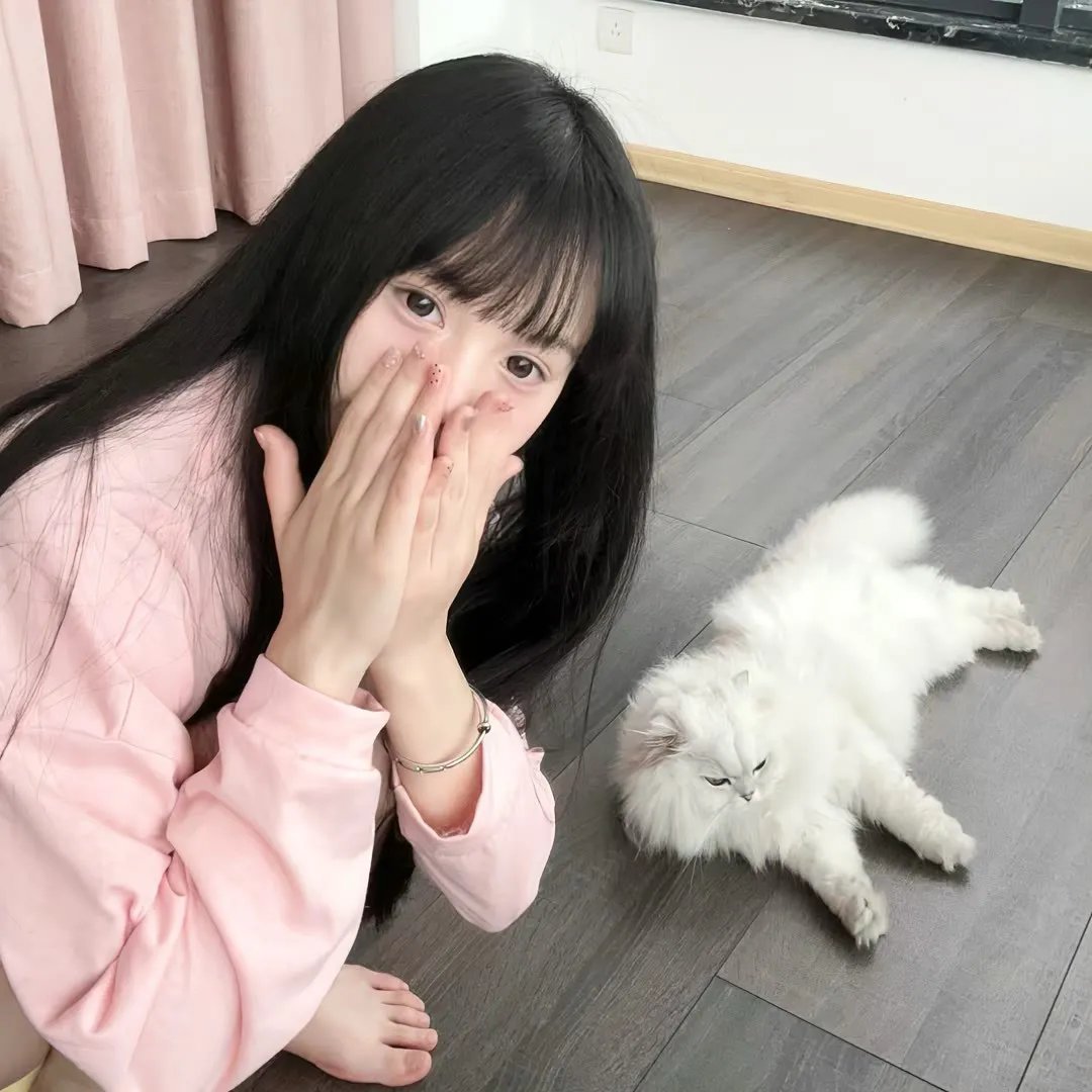 风骚律师第三季