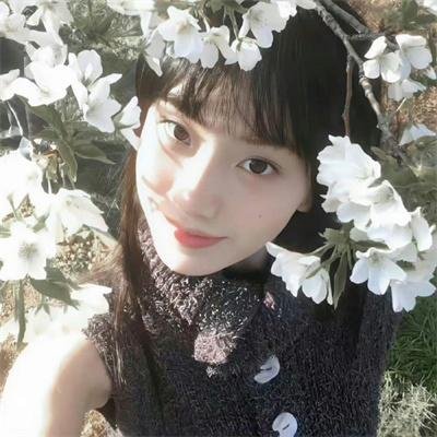 睡莲